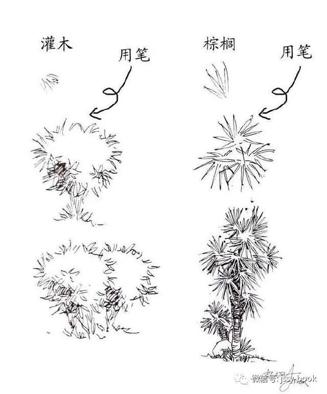 繪畫素材植物速寫技法