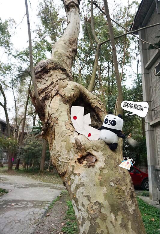 女生叫你树洞什么意思树洞和备胎的区别有哪些