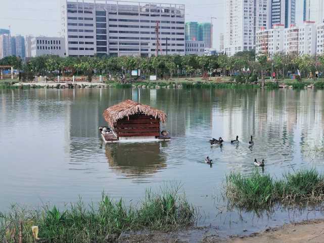 湛江银帆公园多大图片