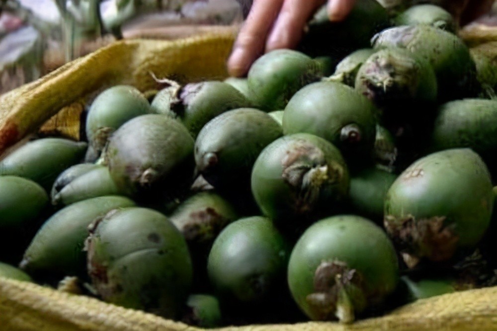 水果|医生提醒：这4种水果已被世卫组织拉黑，再美味也别碰，没开玩笑