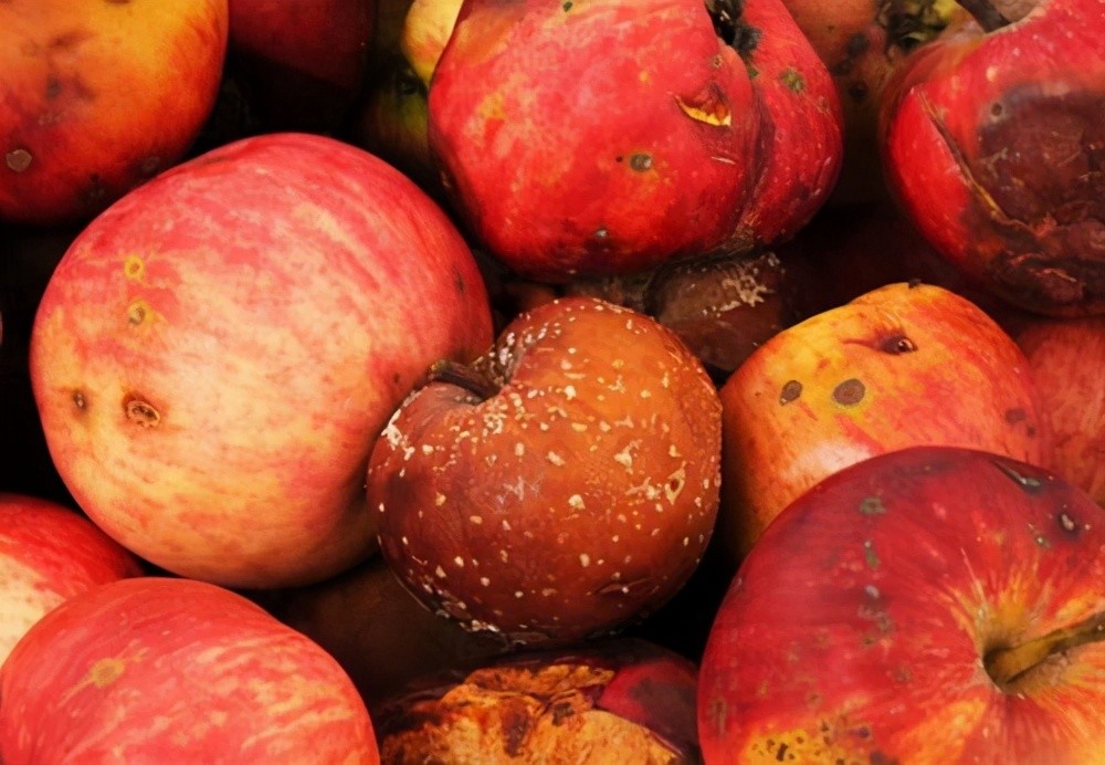 水果|医生提醒：这4种水果已被世卫组织拉黑，再美味也别碰，没开玩笑