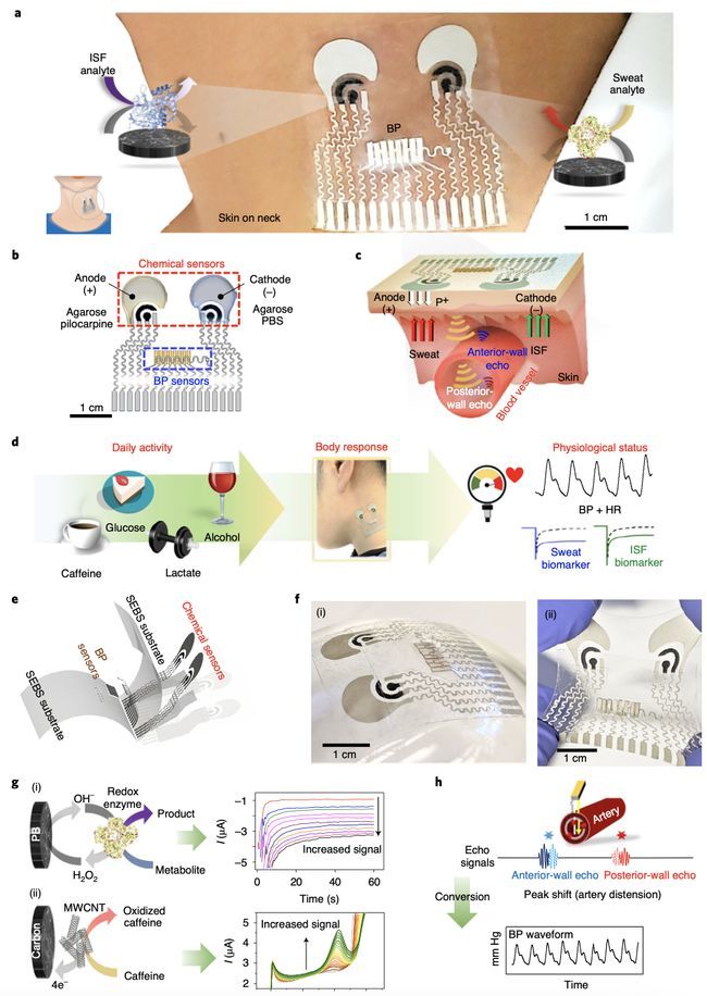 血压|华人科学家参与研发超级“皮肤贴片”，能实时检测多种健康数据