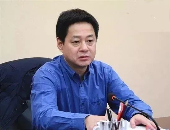 市委书记|严华|党员干部