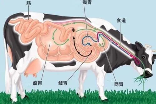 养牛|吃我的肉喝我的奶还不够？连打嗝放屁都要管？