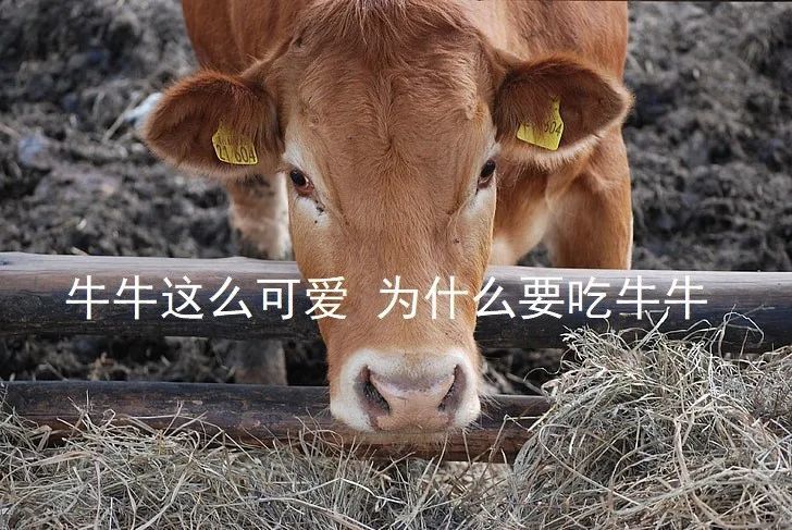 养牛|吃我的肉喝我的奶还不够？连打嗝放屁都要管？