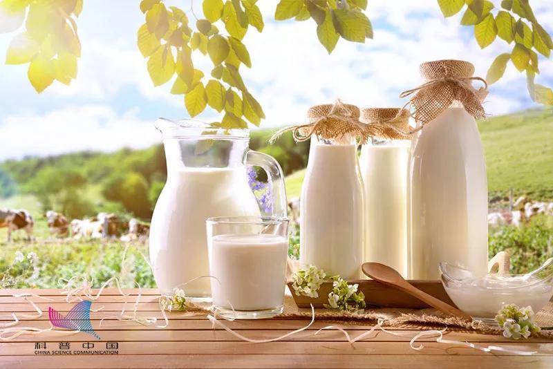 舒化奶|脱脂奶、高钙奶、舒化奶、有机奶…牛奶到底该如何选购？看完终于会挑了