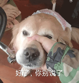 表情包:你听我解释