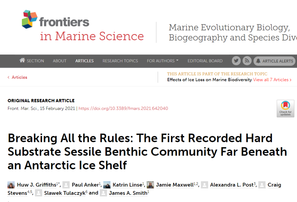 地球|南极冰层下890米，发现一个新生命世界，含22种身份不明生物