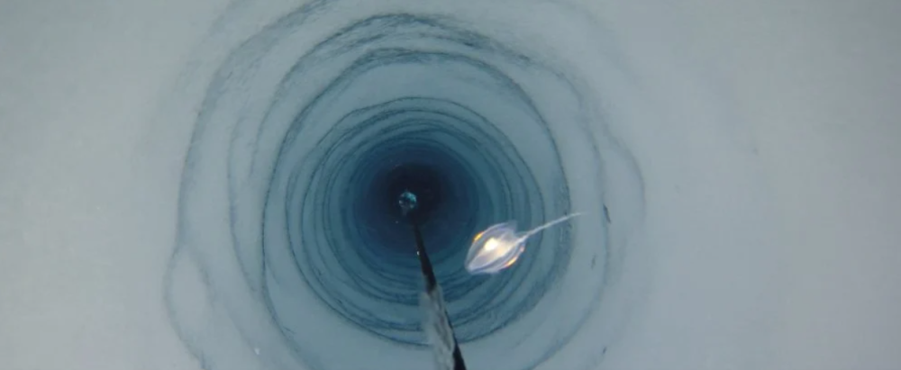 地球|南极冰层下890米，发现一个新生命世界，含22种身份不明生物