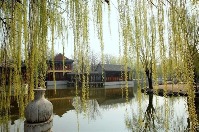 赏读苏轼初五美词泛泛东风初破五江柳微黄万万千千缕