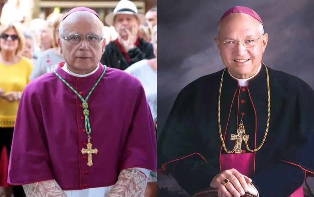 教皇,神父,主教,大主教,红衣主教,怎么区分_腾讯新闻