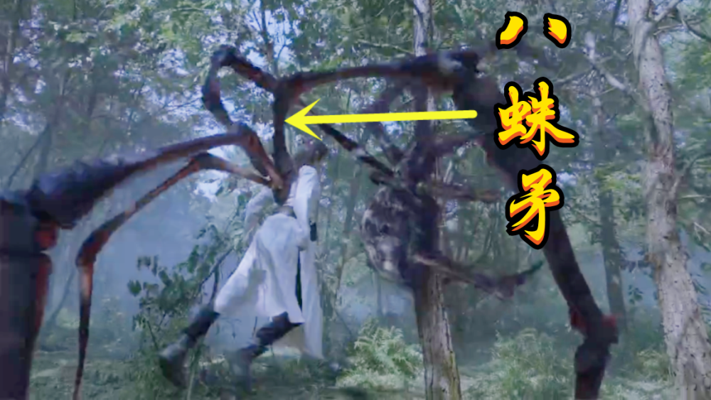 斗罗肖战版唐三成挂王八蛛矛秒杀地穴魔蛛只因小舞叫了一声