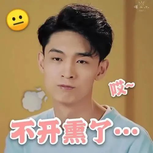 老秦表情包|扭起来