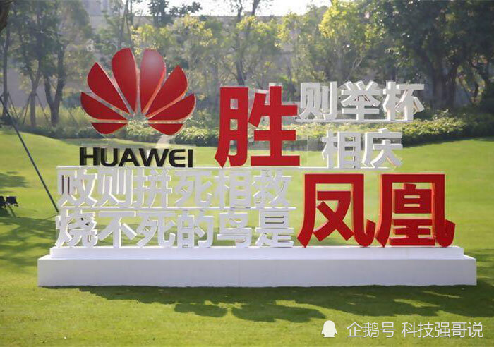 华为计划确认任正非这句话真正让人明白了烧不死的鸟是凤凰