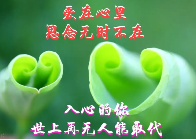 你入我心我动情心心念念为卿狂想你魂牵梦绕的想念无法克制
