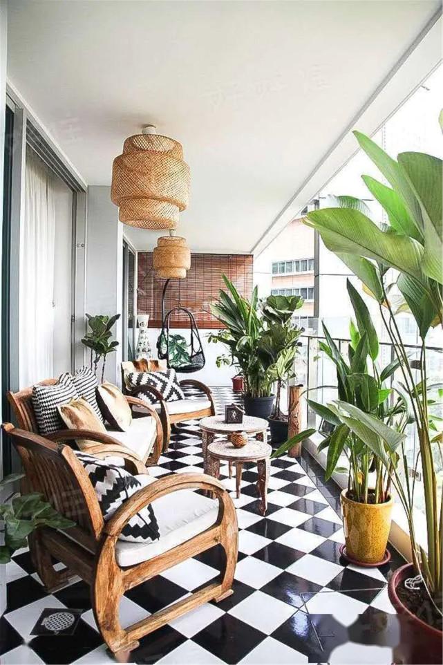 小小阳台打造绿意花园,照看照做,阳台植物很简单