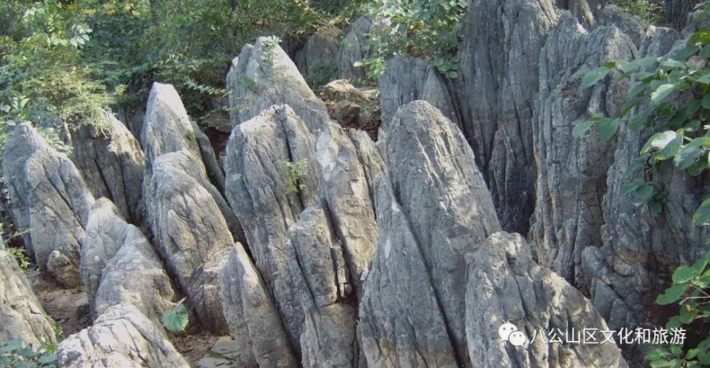 新春佳节带你畅游八公山风景区 赏景篇 腾讯新闻