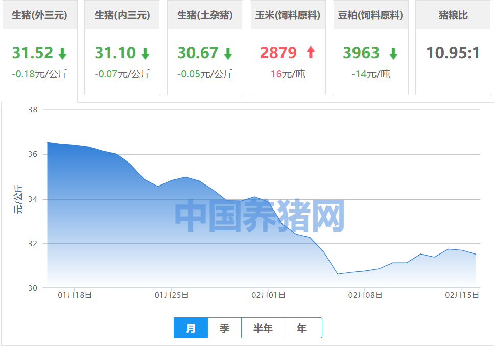 生猪价格|2021年02月16日全国生猪价格行情表