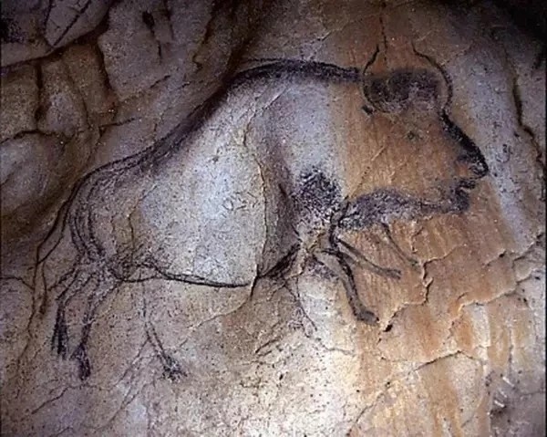 狗一起消失在一片洞穴里,在寻找的过程中,人们意外发现了一个史前山洞