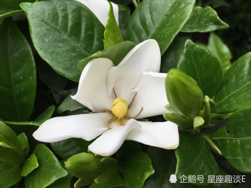 2月17日 21日星座运势 白羊迎接挑战 天秤提升实力 水瓶初心不改 腾讯新闻
