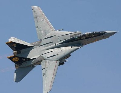 f-14"雄猫"战斗机:猫系战机的巅峰之作,集机动性和火力于一身