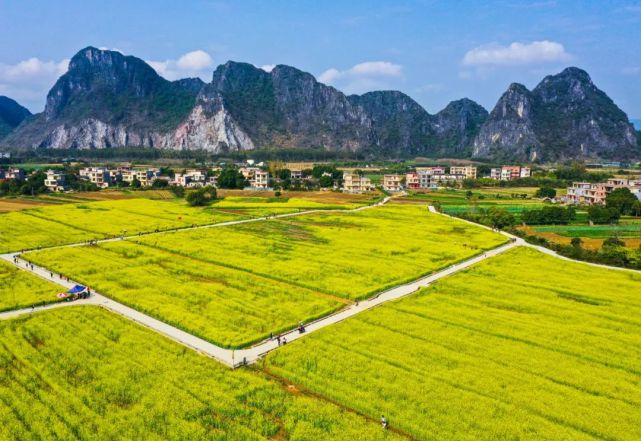 230多亩盛放的油菜花田喀斯特地貌抓住假期的尾巴打卡去