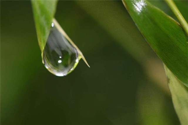 雨水节气,天一生水,赏读6首美丽的春水和春雨诗