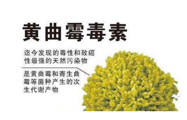 黄曲霉素|做好6件事，黄曲霉素离你远远的，肝癌不相见