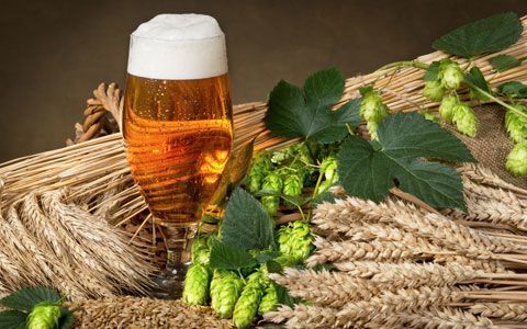 啤酒|埃及发掘出五千年前啤酒厂，一次可造酒22吨，却还并非世界最早的