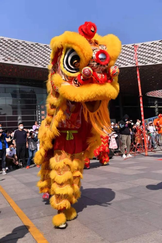 正月初五,南山"群狮"共舞闹新春!