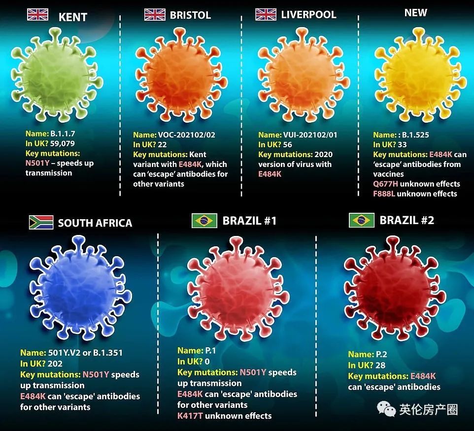 英国又现新变种毒株下周一公布解封方案伦敦14人口已有抗体