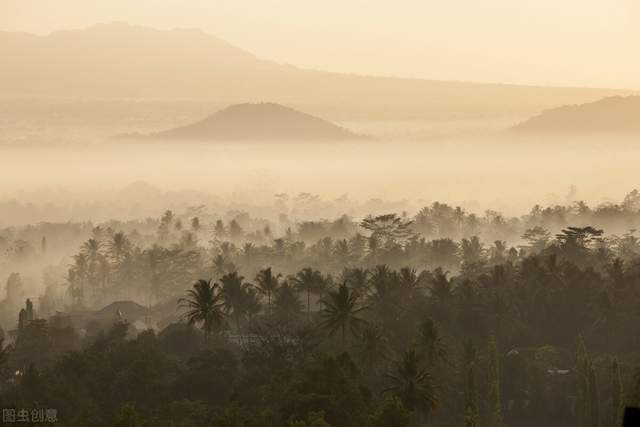 网纹蟒|世界上最长的蛇，网纹蟒屡屡吞食人类，人蛇矛盾为何激化？