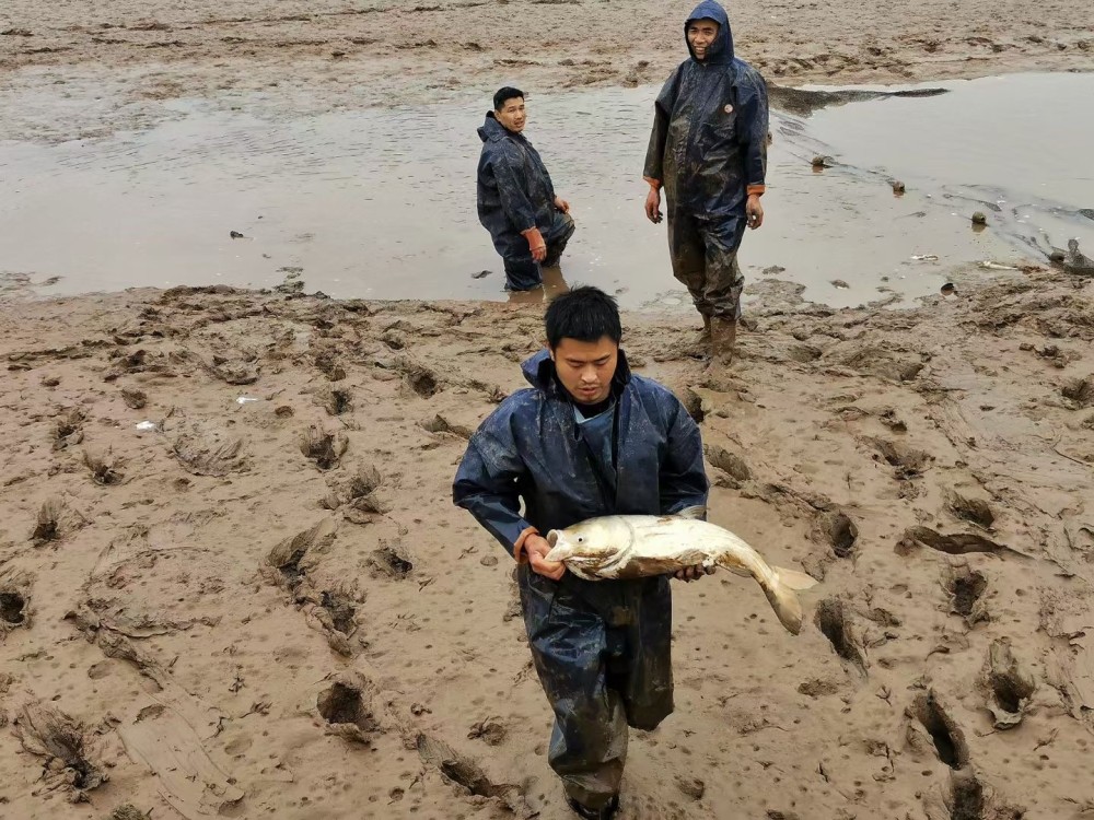 四川一水库正月捞鱼大鱼一斤才卖7元当地老乡过年图个乐子