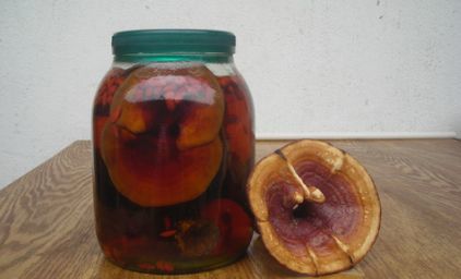 水果泡酒酸木瓜泡酒在云南,酸木瓜泡酒是都加冰糖的,因为没几个人耐得