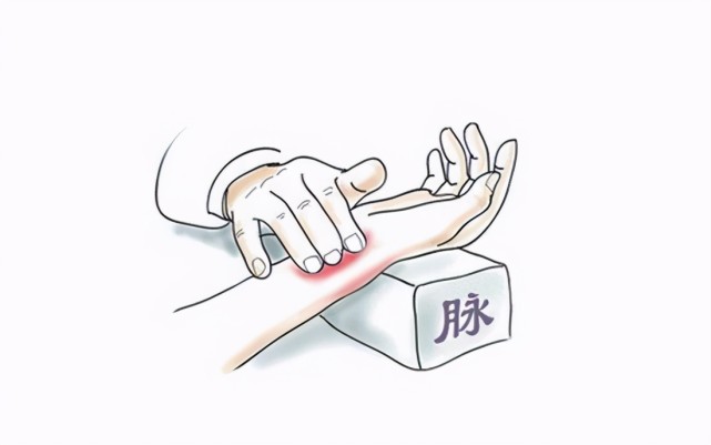 学中医的都会把脉吗医生分两个群体来讲科班与师承