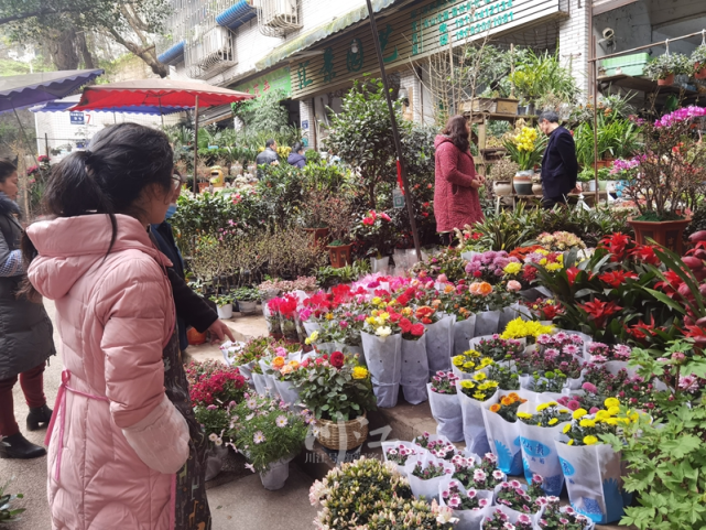 正月初六朋友离开泸州回深圳 意味深长地告诉我 泸州是一线城市 腾讯新闻