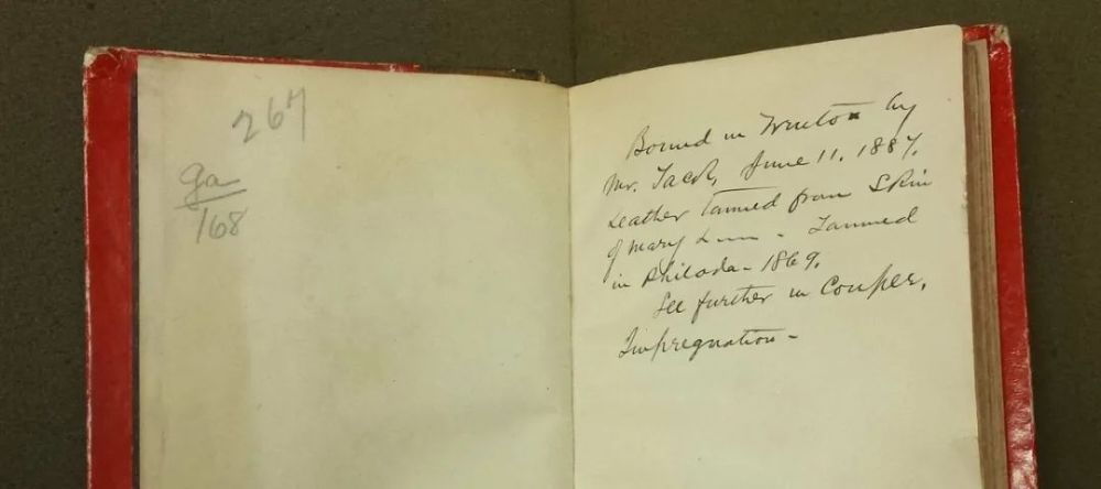 人皮书|“人皮书”的迷思