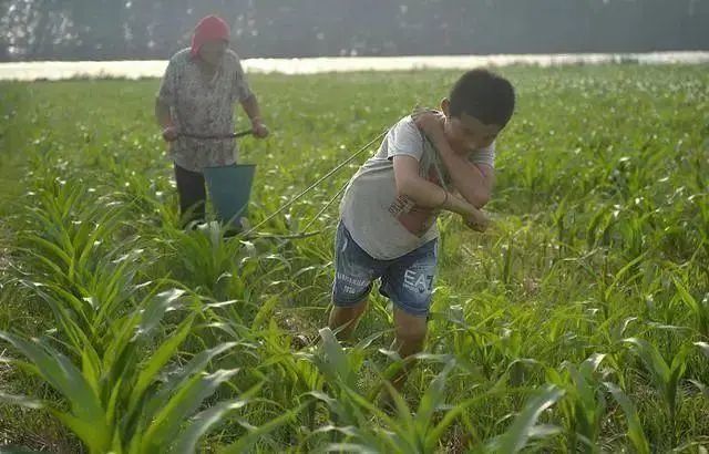 尿毒症|8岁男孩尿毒症，全力抢救仍离世，医生不禁惋惜：家长太无知了