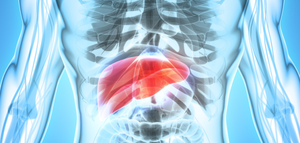 喝酒|怎么喝酒才不伤身？喝酒的5个真相，你一定要知道！