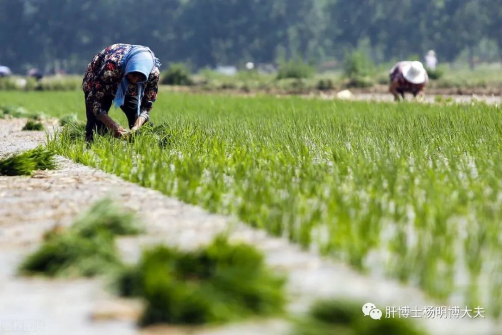 假期|大年初六，春节七天乐后，该如何面对假期综合症？