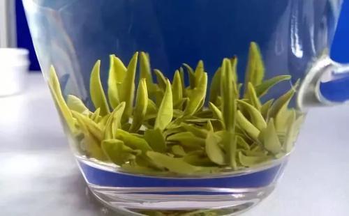 绿茶|放了很久的绿茶还能喝吗？时间越久香味越浓？一种茶真不能喝