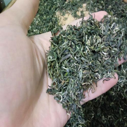 绿茶|放了很久的绿茶还能喝吗？时间越久香味越浓？一种茶真不能喝