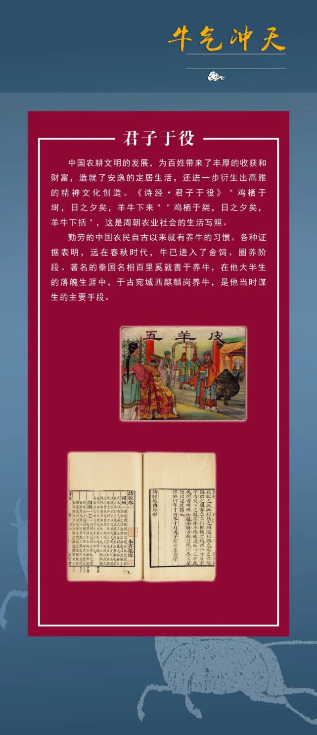 牛年牛知识追溯牛文化牛与农耕上