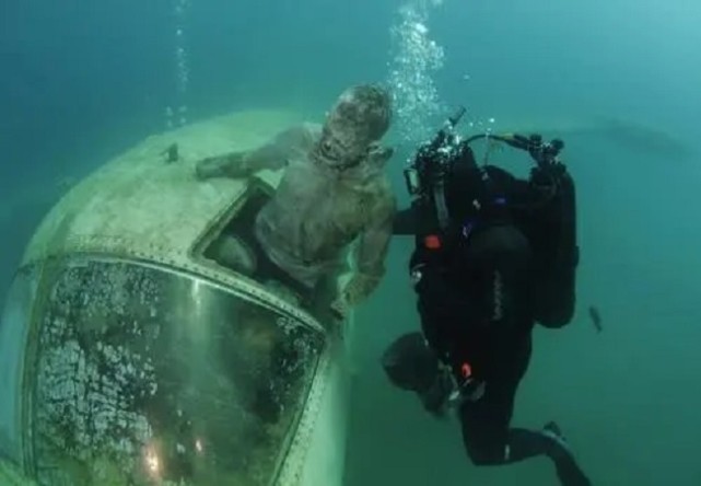 海底飞机残骸里的人骨图片
