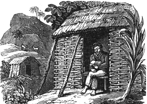 鲁滨逊的原型:与船长争吵被留在荒岛,每天吃羊肉炖