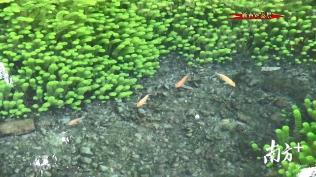 翁源突水村有口“神仙潭”，一泓泉水润泽全村_腾讯新闻