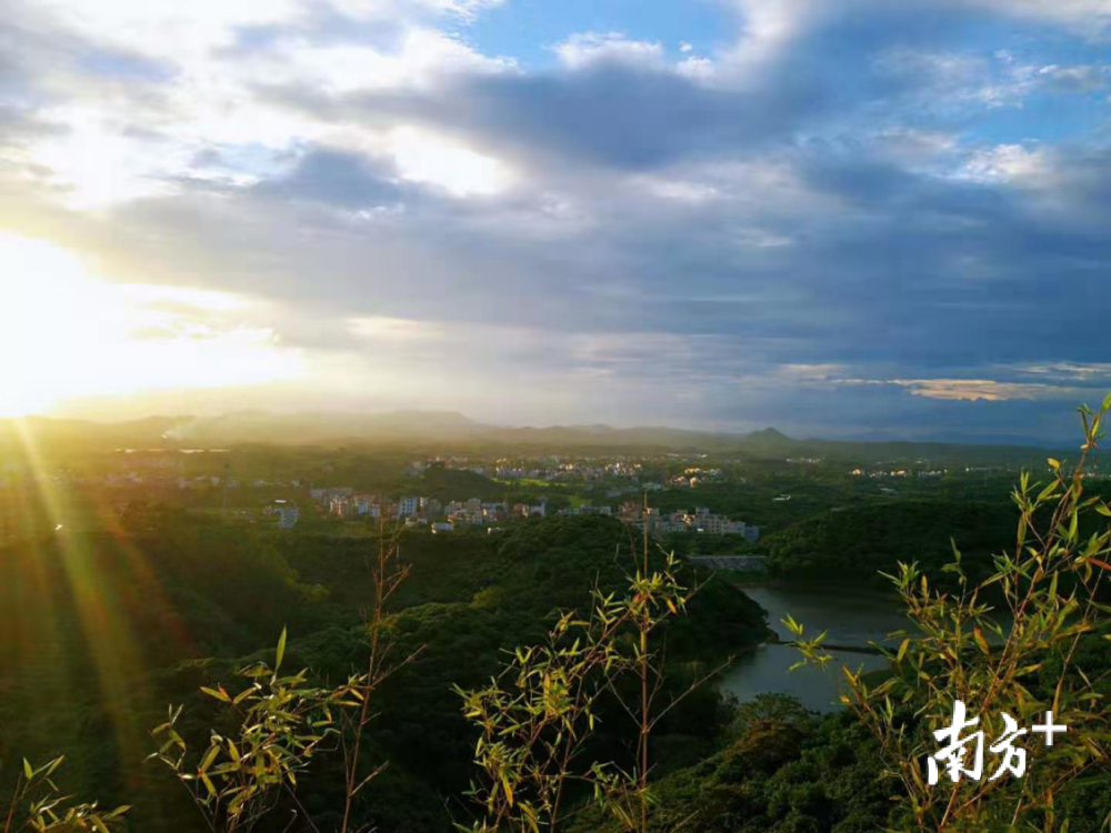 高州沙田镇:美丽蝶变,花开满园