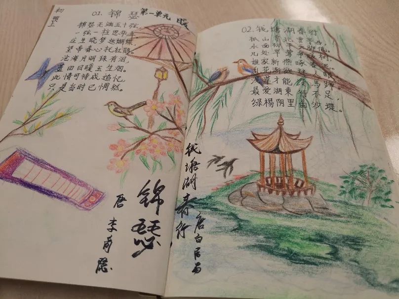 这个刚满10岁的上海小囡冲上了《中国诗词大会》擂主争夺赛!