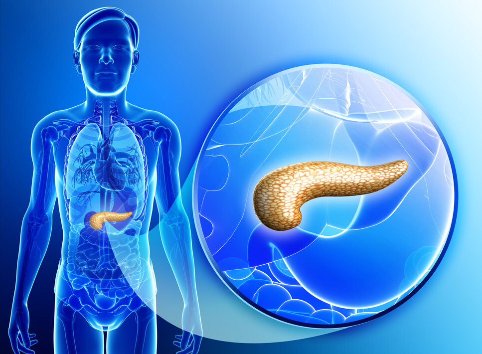 其次由于胰腺自身的解剖位置决定,疼痛都会