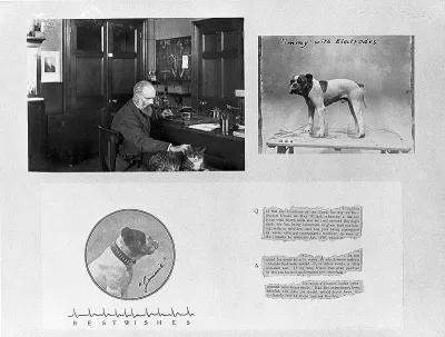 路易吉·伽伐尼|一百年前的人用什么奇葩设备测心电？他们用这些奇怪方式追寻真相